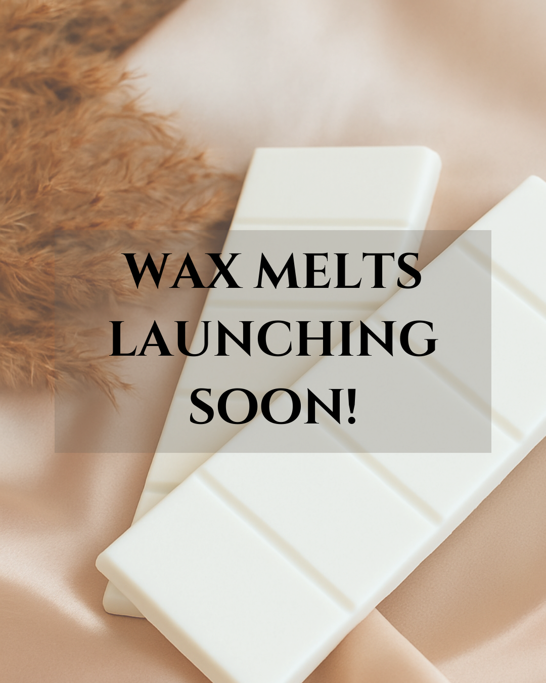 Wax Melts